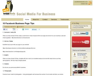 Net 4 Wise Owls