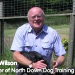 Client Showcase – North Down Dog Training