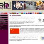 How can your business be successful in China?