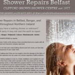 Microsite for Shower Repair Business