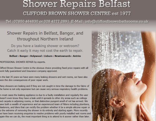 Shower Repair Belfast