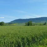 Camino Walk Talks in Northern Ireland