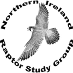 Protecting Northern Ireland’s Raptors