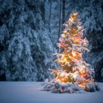 Newtownards, Bangor and Belfast Christmas Lights Switch On
