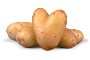 potatos02